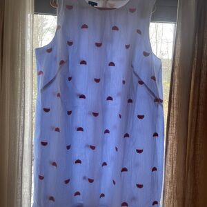 Talbots blue and White striped Dress with Red Watermelon Print